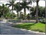 brown park_1
